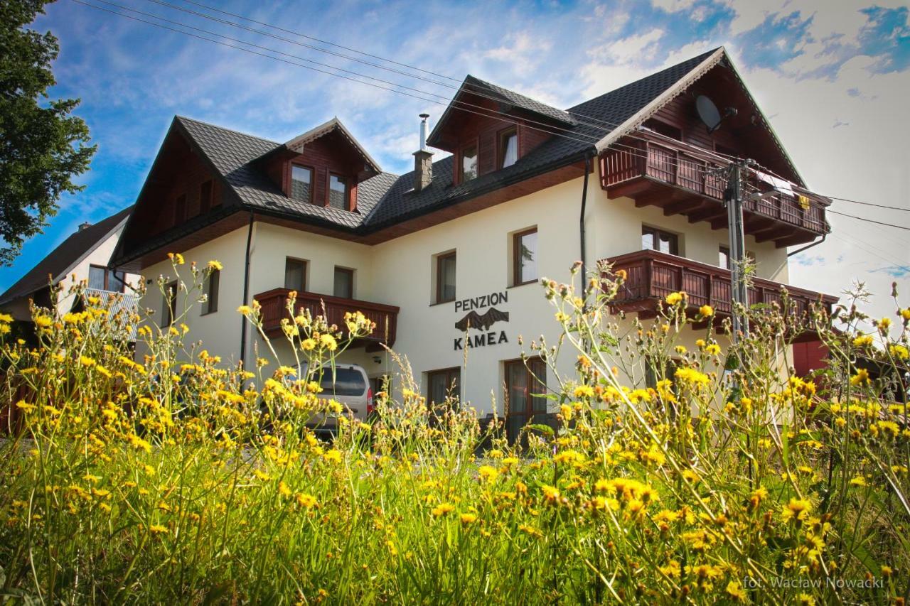 Penzion Kamea Ždiar Buitenkant foto